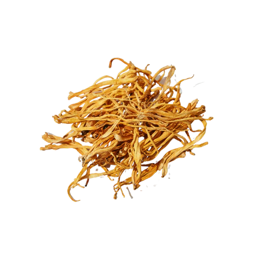 How Cordyceps Mushroom Unlocks Peak Athletic Endurance