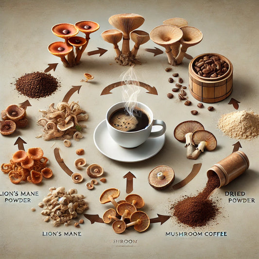 How Mushroom Coffee Is Made
