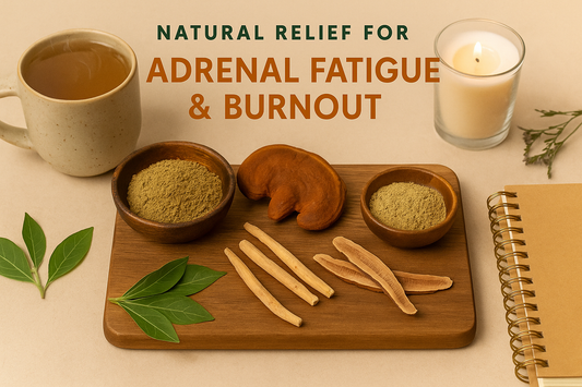 Adaptogens for Adrenal Fatigue and Burnout: Restoring Your Body's Natural Resilience and Energy Levels