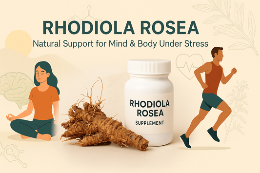 Rhodiola Rosea: The Adaptogen for Peak Mental and Physical Performance Under Acute and Chronic Stress