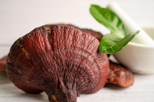 Reishi Mushrooms for Health and Wellness: What Science Says About Their Benefits