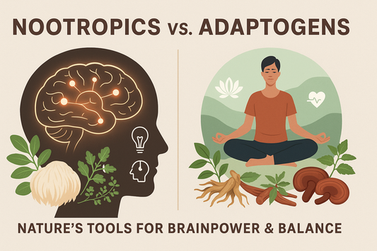 Nootropics vs. Adaptogens for Cognitive and Physical Enhancement: A Detailed Comparison