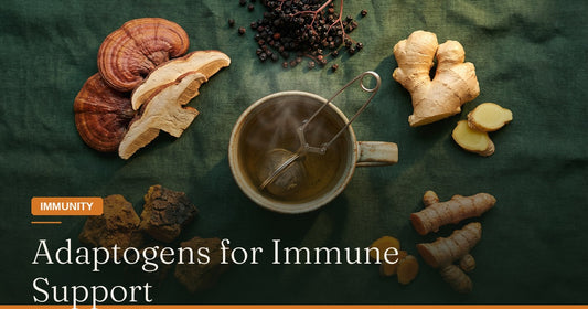 Adaptogens for Immune Support: How Mushrooms Strengthen Your Defenses