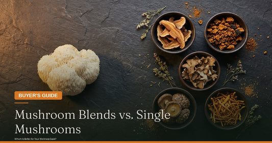 Mushroom Blends vs. Single Mushrooms: Which Is More Effective for Your Health?