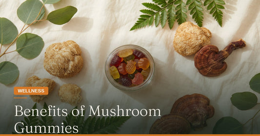 The Benefits of Mushroom Gummies: A Complete Guide