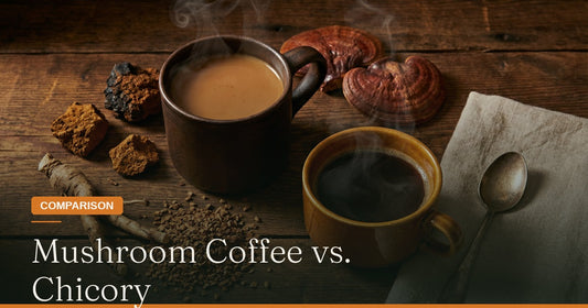 Mushroom Coffee vs. Chicory: What’s the Difference?