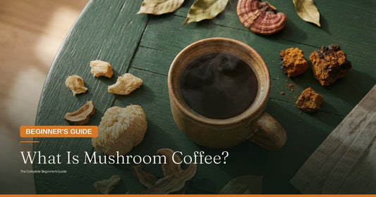 What Is Mushroom Coffee? The Complete Beginner's Guide