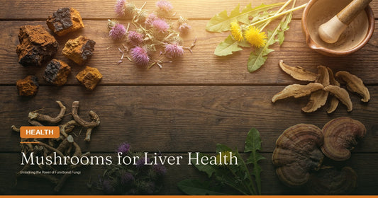 Unlocking the Power of Mushrooms for Liver Health