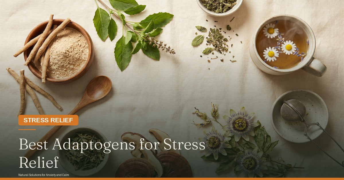Best Adaptogens for Stress and Anxiety Relief – Vital Pour