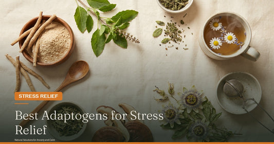Best Adaptogens for Stress and Anxiety Relief