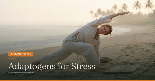 Adaptogens for Stress: The Ultimate Guide to Natural Resilience