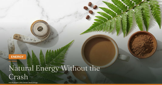 Natural Energy Without the Crash: How Mushroom Coffee Delivers