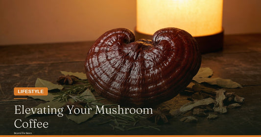 Beyond the Basics: Elevating Your Mushroom Coffee Experience & Understanding