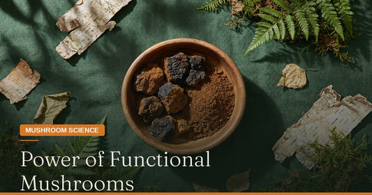 Power of Functional Mushrooms: The Benefits of Lion’s Mane, Turkey Tail, Reishi, Chaga, and Cordyceps