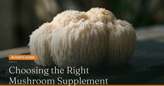 Mushroom Supplements: Choosing the Right Form for Your Health Goals