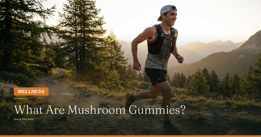 What Are Mushroom Gummies and How Do They Work?