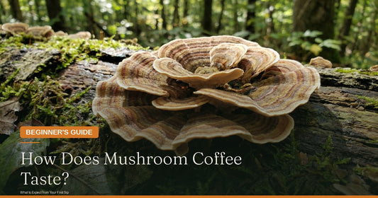 How Does Mushroom Coffee Taste