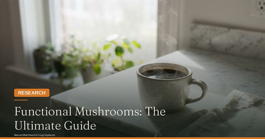 Functional Mushrooms: The Ultimate Guide to Nature's Super Fungi