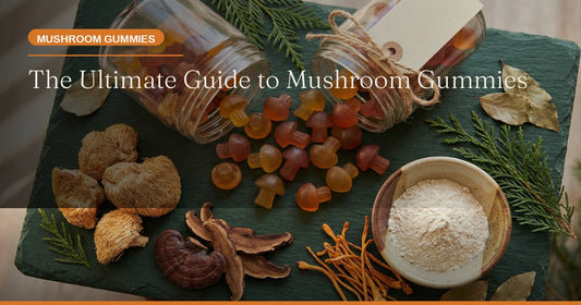 The Ultimate Guide to Mushroom Gummies: Benefits, Types, and How to Choose