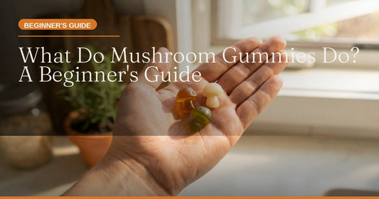 What Do Mushroom Gummies Do? Your Beginner's Guide to Functional Fungi
