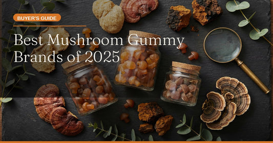 The Best Mushroom Gummy Brands of 2025: An Honest Review and Ranking