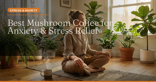 The Best Mushroom Coffee for Anxiety & Stress Relief: Your Complete Guide