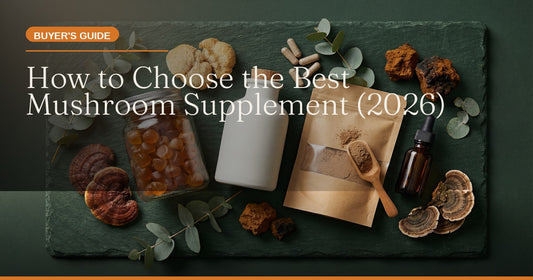 How to Choose the Best Mushroom Supplement: Your 2026 Buyer's Guide