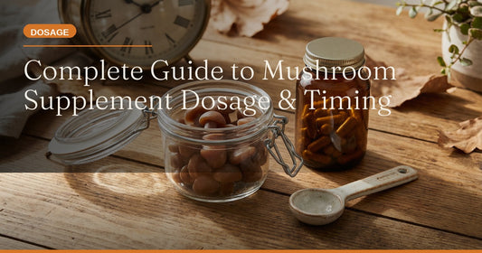 The Complete Guide to Mushroom Supplement Dosage and Timing for Maximum Benefits