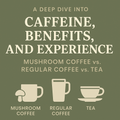 Mushroom Coffee vs. Regular Coffee vs. Tea