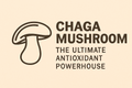 Chaga Mushroom: The Ultimate Antioxidant Powerhouse - Complete Analysis of ORAC Values, Health Benefits, and Scientific Research (2025)