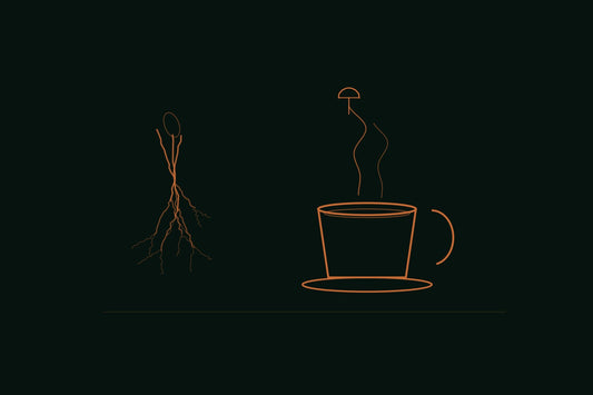 Copper line engraving of a coffee cup with steam curling into a small mushroom cap, beside a bundle of forked roots, on a deep forest background
