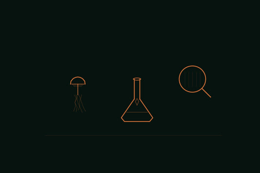 Copper line engraving of a mushroom cap beside a laboratory flask, a magnifying glass, and a trace droplet on a deep forest background