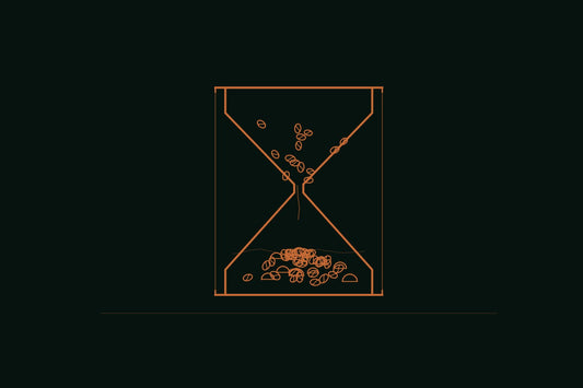 Copper line engraving of an hourglass with coffee beans in the upper chamber turning into mushroom coffee grounds in the lower chamber, on a deep forest background