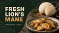 Fresh Lion's Mane Mushroom: How to Cook and Use It