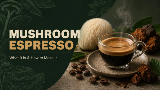 Mushroom espresso, a shot with crema made from lion's mane and chaga coffee