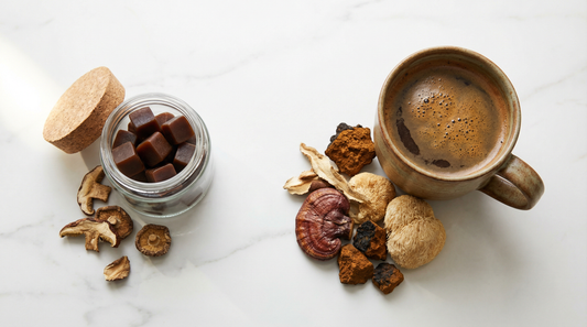 Mushroom Gummies vs. Mushroom Coffee: Which Format Is Right for You? A Guide to Functional Mushroom Formats