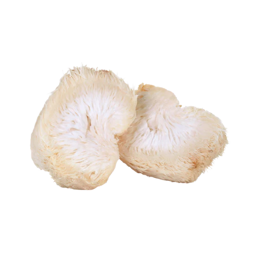 Lion's Mane