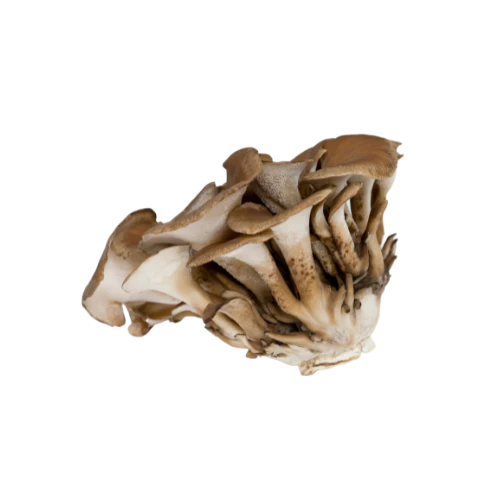 Maitake