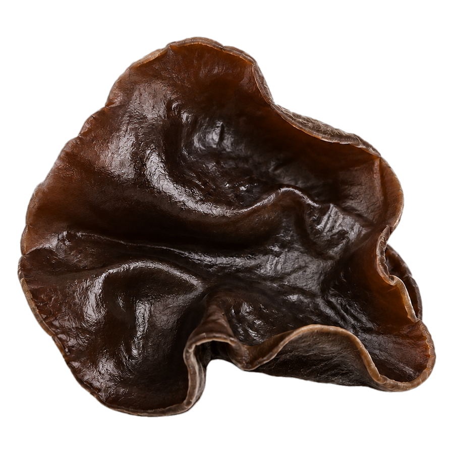 Black Fungus